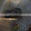 Antique Rudder Helm Charm Necklace 2 Colors