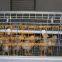Kuwait Poultry Farm Equipment Automatic Day Old Chicken Cage with Automatic Drinking & Feeding System