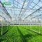 SHINEHWA Agricultural/Commercial Glass Greenhouse Glasshouse For Vegetable