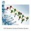 Spinal PCF Posterior Cervical Fixation System