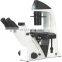 Trinocular Head Biological Inverted USB Microscope