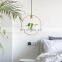 Modern personality simple plant round led pendant light for decorate