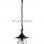 American village industrial simple Single Head glass and iron pendant light for decorate