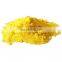 100% Natural Mango Extract Powder With High Quality