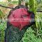 SUPER LARGE GARDEN GRAPE FRUIT NET BAG FOR PEST CONTROL