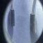 3X8 32.768KHZ  AB38T-32.768KHZ-B7 ABRACON Crystals CRYSTAL 32.7680KHZ 12.5PF T/H