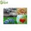 Fruit Sorting Machine can use for pear/ tomato/ cherry/ apple/ orange/ lemon/ mango