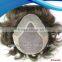 Wholesale High Quality Virgin Human Hair Men's Toupee