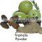 Pure Quality Triphala Powder For Supply From India