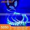 Waterproof Constant Current Flexible Blue SMD5050 LED Light Strip IP65