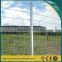 Electro galvanized steel cattle fence/grassland field fence/poultry mesh fence