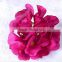 Fashion elegant lovely handmade textile cheap wedding fabric flower brooches bridal hair accessorires