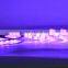RGB SMD 5050 60LED/M Strip LED Tape Waterproof IP65 5 Meter One Roll CE RoHs Certificate New