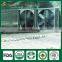 Shiitake Mushroom Spawn Bag, Mushroom Cultivation ,China Shiitake Mushroom