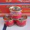70gram Double Concentrated Tomato Paste E/O Lid