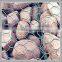 Hexagonal Wire mesh