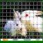 Factory directly sale high quality welded wire mesh sheet