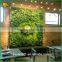 Home Decoration Vertical Fake Green Wall Artificial Grass Quality Choice