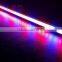 Shenzhen factory DC12/24V SMD5630 strip led and led strip grow lights for leaf plant