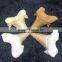 100% Natural Shark Teeth Fossils Pendants Fossils