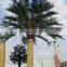 steel telecommunication bionic palm tree tower/decorative palm tree                        
                                                                                Supplier's Choice