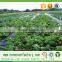 Non woven fabric protection cover, non woven geotextile fabric, weed mat