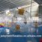 Crazy games Inflatable PVC Zorb