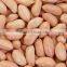 Indian Sargiya Brand Peanuts PEANUT JAVA