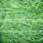 frozen stringless green bean