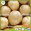 2016 Cheap Price Fresh Holland Potato
