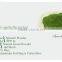 Factory Supply Spinach Powder Sale On The Spot