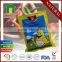 Grade A Hot sales Premium Chicken Powder Manufacturer