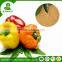 Professional biochemical fertilizer for plant growth for fruit