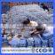 Twisted BWG9#X2.5" Roofing Nail /Galvanized Iron Material roofing nails(Guangzhou Factory)