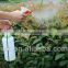 iLOT 1 liter insecticide pesticide sprayer gun water sprayer lawn sprayer herbicide sprayer