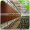 Good Quality wet curtain for greenhouse cooling system