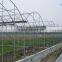 Cheap multi-span plastic greenhouse for fruits
