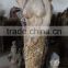Hand made wooden carving mermaid, antique imitation wooden mermaid statue
