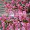 Artificial Pink Silk Indoor Natural Cherry Blossom Tree