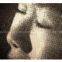 wire mesh