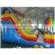 double lanes inflatable water slides for sale, giant inflatable slide for adult