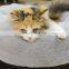 Wholesale Factory Fabric Felt Fluffy Velvet Pet Dog Cat Bed Cave