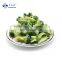 HACCP KOSHER HALAL BRC Quality New season Frozen Vegetables IQF Broccoli Cuts