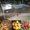 Factory supply Fruit vegetable cleaning drying machine / bubble washing machine