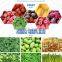 Frozen Green Peas Okra Processing Line Vegetables Washing Machine