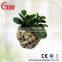 gardening pots, garden flower pots, garden flower pots