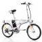 Cheap 250W Electric Bicycle, Steel Frame Electric Bike at High Quality