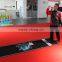 Professional Branded Dart Mat with High Quality
