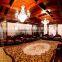 luxury 5 Star Hotel Carpet, Lobby Carpet H-08