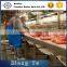 TianShun oil resistant food industry use Hygienic Nontoxic Rubber Conveyor belt supplier